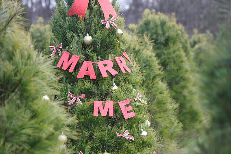pedido-casamento-natal-unsplash
