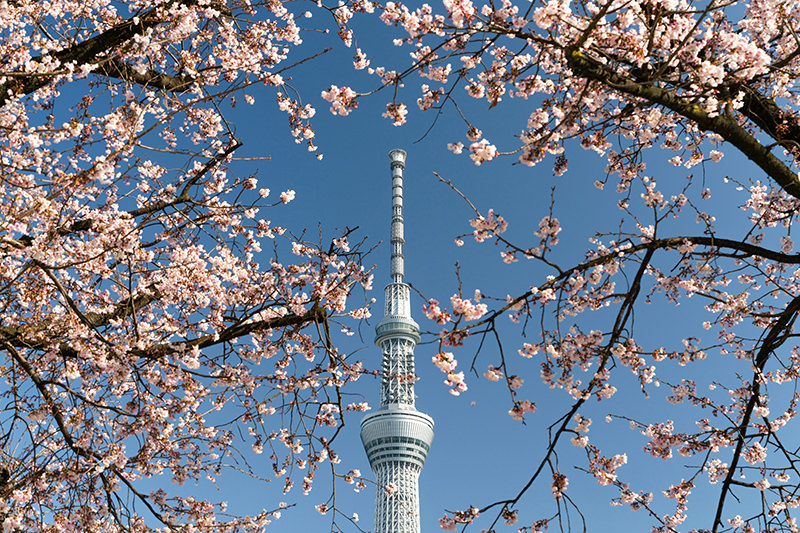 pedido-casamento-tokyo-unsplash