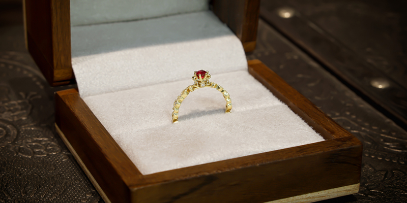 capa-anel-de-direito-legi-amarelo-e-rubi