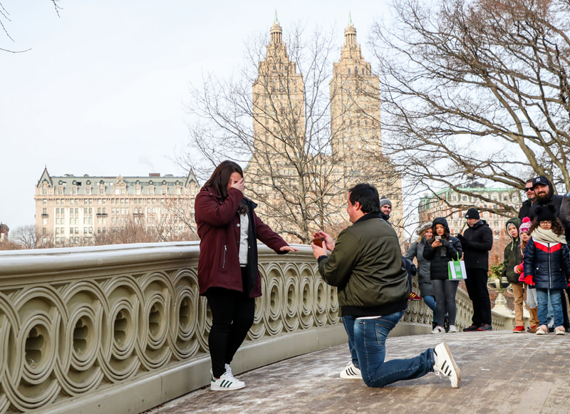 capa-pedido-de-casamento-no-central-park-em-nova-york