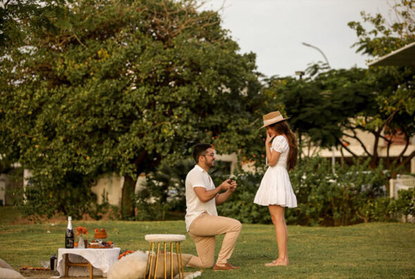 3-pedido-de-casamento-piquenique