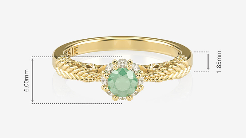 anel-formatura-nutricao-medidas