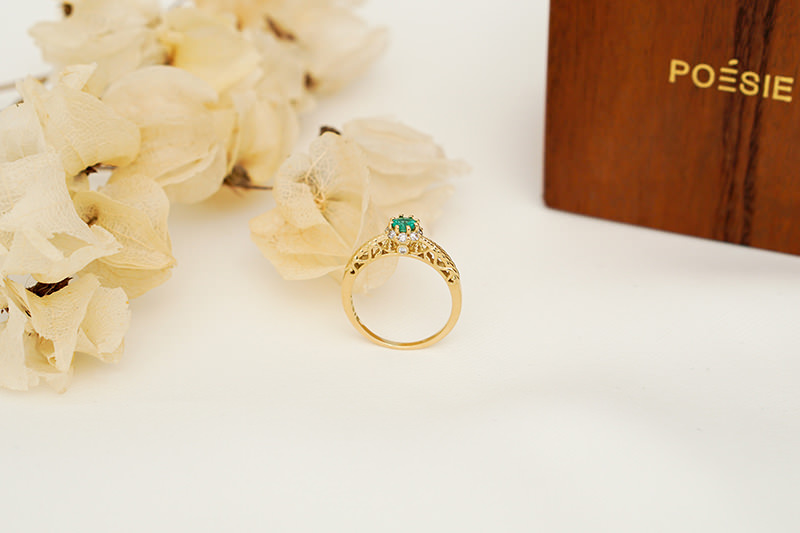 anel-formatura-nutricao-vita-ii-folha-estojo