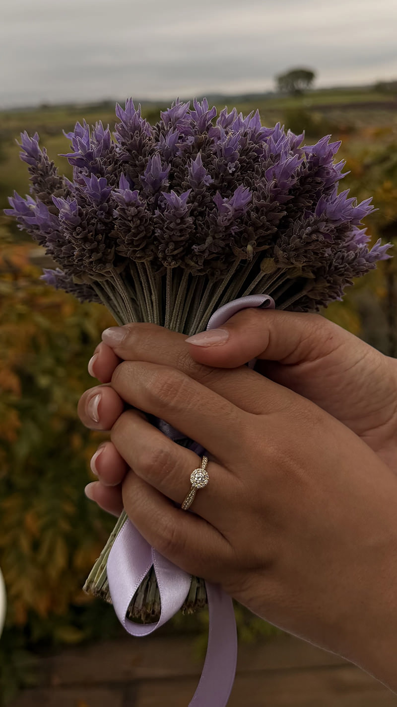 pedido-de-casamento-lucas-thays-poesie-11